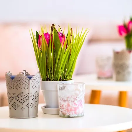 Bacvice Dream Appartement